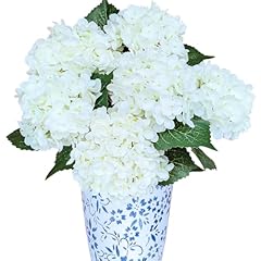 6pcs premium white for sale  Delivered anywhere in USA 