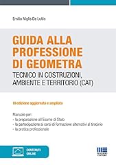 Guida alla professione usato  Spedito ovunque in Italia 