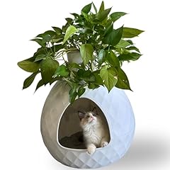 Askpass hidden cat for sale  Delivered anywhere in USA 