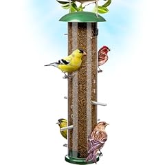 Finch bird feeder for sale  Delivered anywhere in USA 