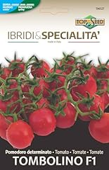 Pomodoro tombolino meglio usato  Spedito ovunque in Italia 