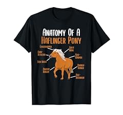 Anatomy haflinger pony for sale  Delivered anywhere in USA 