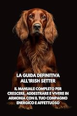 Guida definitiva all usato  Spedito ovunque in Italia 