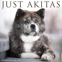 Akitas 2025 wall for sale  Delivered anywhere in UK