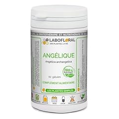 Angélique labofloral gélules d'occasion  Livré partout en France