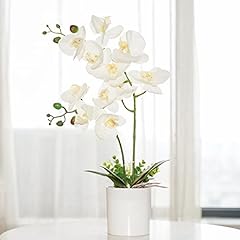 Ohmywor artificial orchid for sale  Delivered anywhere in USA 