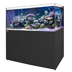 Aqua dream coral for sale  Delivered anywhere in USA 