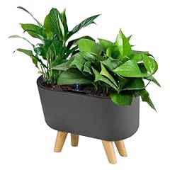 Self watering planter for sale  Delivered anywhere in USA 
