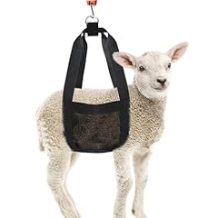 Iiniim calf livestock for sale  Delivered anywhere in UK
