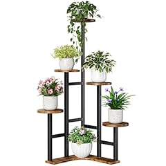 Yzosvki corner plant for sale  Delivered anywhere in USA 