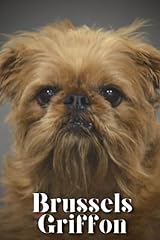Brussels griffon dog for sale  Delivered anywhere in UK