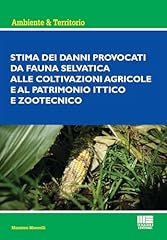 Stima dei danni usato  Spedito ovunque in Italia 