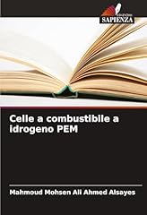 Celle combustibile idrogeno usato  Spedito ovunque in Italia 