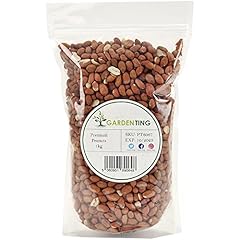 Premium peanuts wild for sale  Delivered anywhere in UK