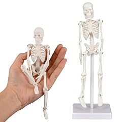 Mini skeleton model for sale  Delivered anywhere in USA 