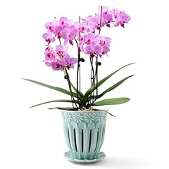 Suaden ceramic orchid for sale  Delivered anywhere in USA 