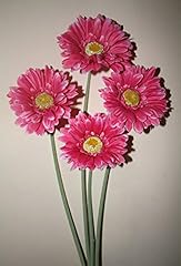 Hot pink gerbera for sale  Delivered anywhere in UK