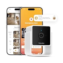 Petcube cam indoor for sale  Delivered anywhere in USA 