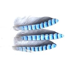 Hackles geai bleu d'occasion  Livré partout en France
