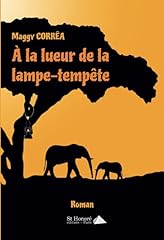 Lueur lampe tempête d'occasion  Livré partout en Belgiqu