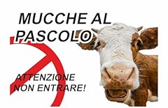 Global cartello segnaletico usato  Spedito ovunque in Italia 