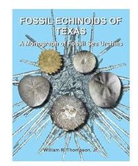 Fossil echinoids texas for sale  Delivered anywhere in USA 