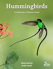 Hummingbirds celebration natur for sale  Delivered anywhere in USA 