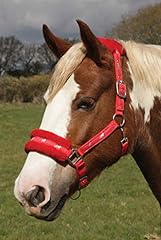 Rhinegold logo headcollar usato  Spedito ovunque in Italia 