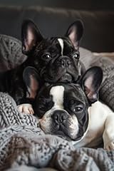 French bulldog notebook for sale  Delivered anywhere in UK