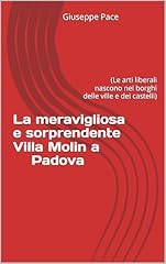 Meravigliosa sorprendente vill usato  Spedito ovunque in Italia 