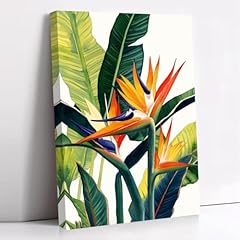 Ccworkerry bird paradise for sale  Delivered anywhere in USA 