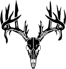 Deer buck skull for sale  Delivered anywhere in USA 