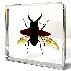 Insects resin giant for sale  Delivered anywhere in USA 