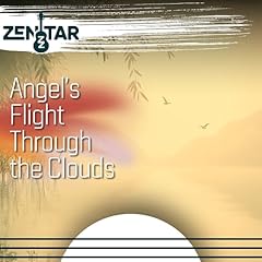 Angel flight through d'occasion  Livré partout en France
