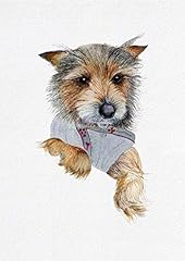 Yorkie dog yorkshire for sale  Delivered anywhere in UK