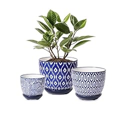 Selamica ceramic plant for sale  Delivered anywhere in USA 