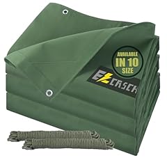 Ezcasch x10 canvas for sale  Delivered anywhere in USA 