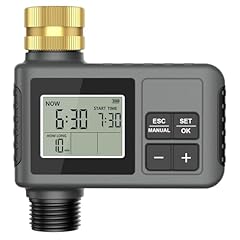 Riogoo timer per usato  Spedito ovunque in Italia 