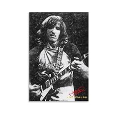 Ceihuonn joe walsh for sale  Delivered anywhere in USA 