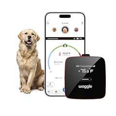 Waggle pet safety for sale  Delivered anywhere in USA 