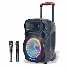 Extreme sound cassa usato  Spedito ovunque in Italia 