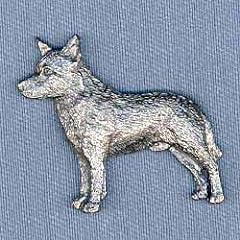 Australian cattle dog for sale  Delivered anywhere in USA 