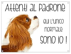 Cartello cane cavalier usato  Spedito ovunque in Italia 