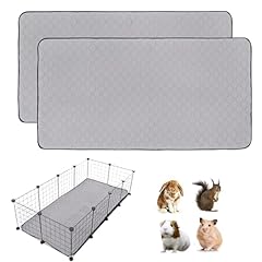 Pack guinea pig for sale  Delivered anywhere in USA 