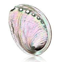 Brbasap large abalone for sale  Delivered anywhere in USA 