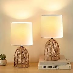 Ejiaxin rattan lamp for sale  Delivered anywhere in USA 