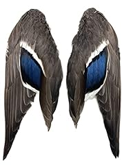 American feathers high for sale  Delivered anywhere in USA 
