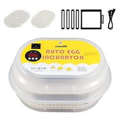 Cooltop Egg Incubator,9-12 Eggs Incubator for Hatching for sale  Delivered anywhere in UK