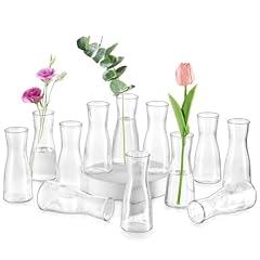 Glasseam kleine glasvasen gebraucht kaufen  Wird an jeden Ort in Deutschland