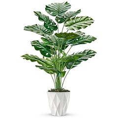 Der rose tall for sale  Delivered anywhere in USA 